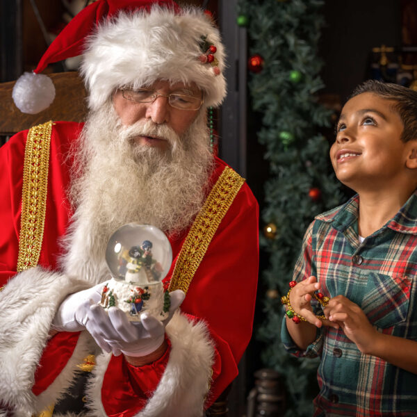 Where to Take Christmas Photos Near Me: The Ultimate Local Guide