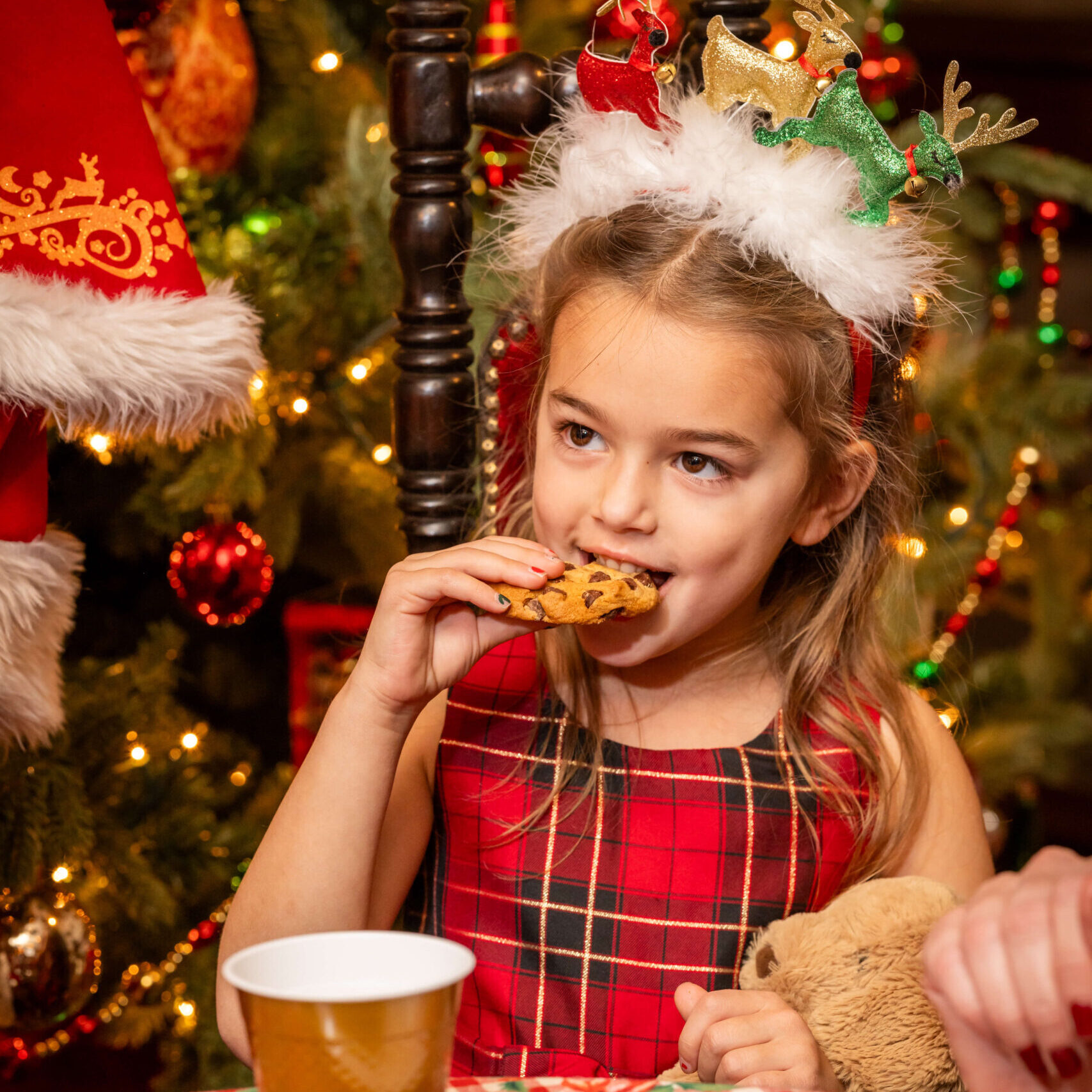 Christmas Portraits at the Logan Hotel