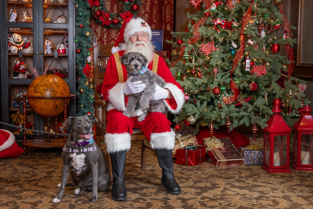 Paws and Claus: Making Magical Memories with Your Pets